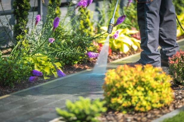 Reliable Auburn, NY Pressure Washing Services Solutions