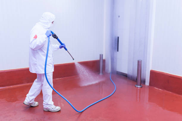 Best Roof Cleaning and Mildew Removal in Auburn, NY
